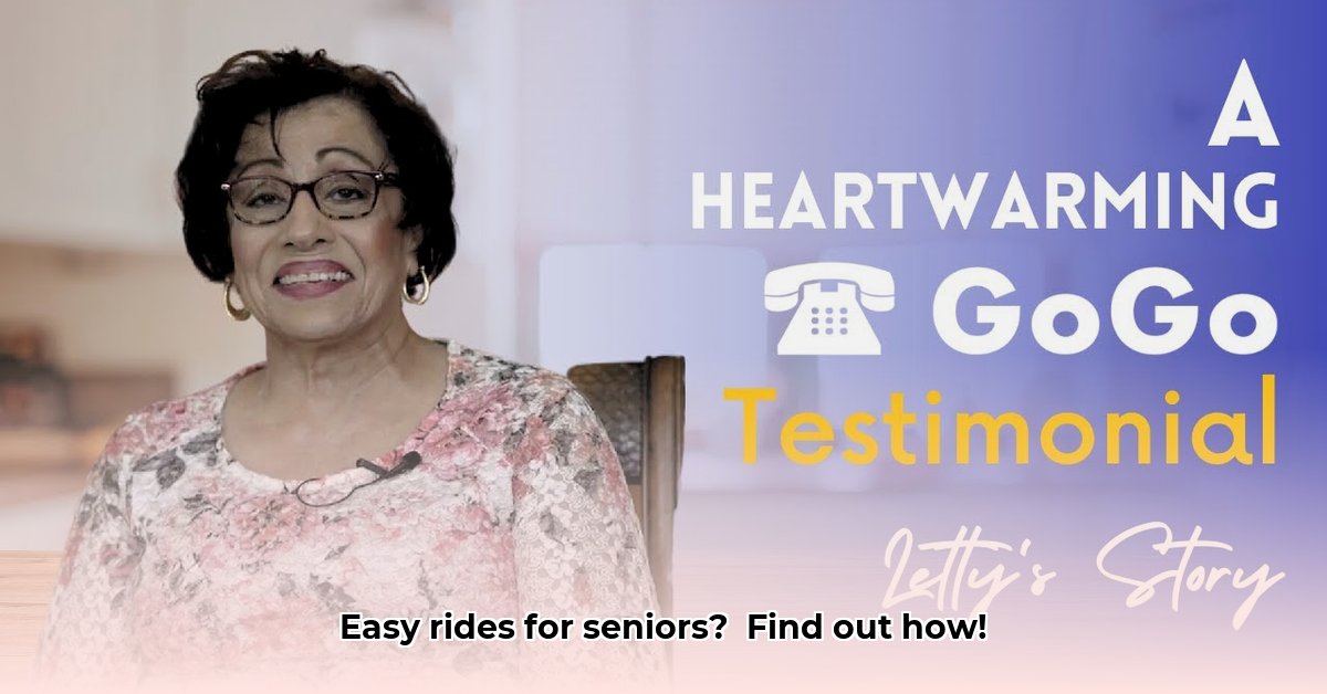 gogograndparent-uber